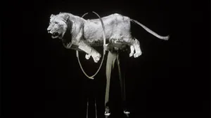 Collectif Mobil casbah